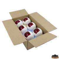 Fanali di via alogeni Orsa Minore 12V Bulk 12 pz