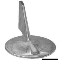 Pinna