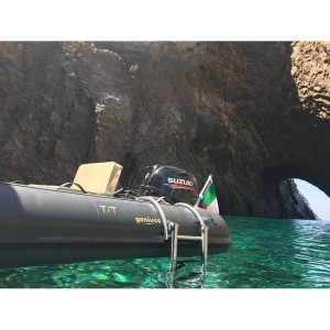 Scaletta a sgancio rapido per gommoni - foto 9