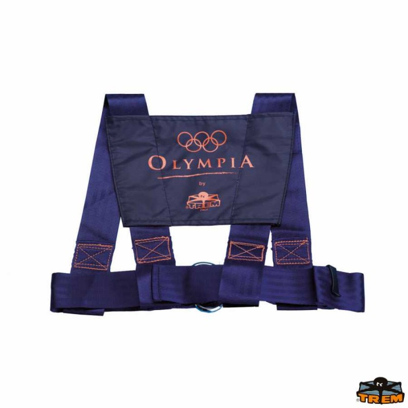 Cintura di sicurezza OLIMPIA Modello omologato 2016/425/UE - foto 1