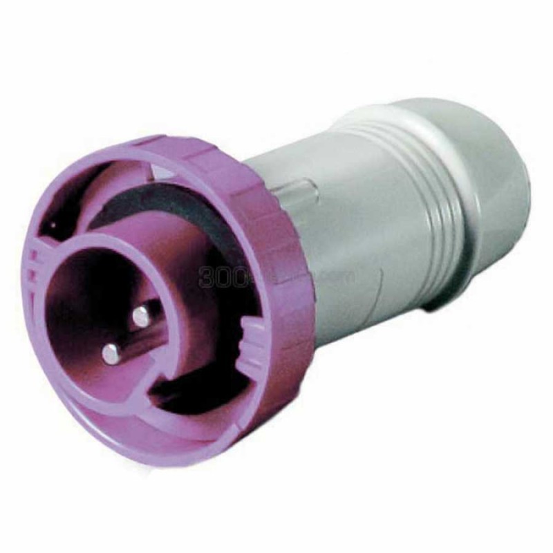 Spina per presa 2P 12/24V. 16A IP67 - foto 1