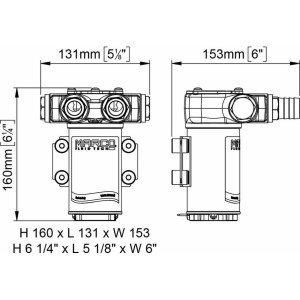VP45-N pompa a palette 45 l/min 12 volt - foto 2