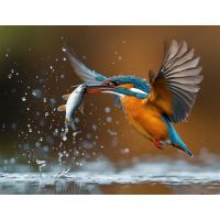 Steiner eDiscovery binocolo 10x42 con telecamera integrata - foto 4