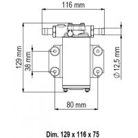 Marco UP2-P pompa autoadescante - foto 2