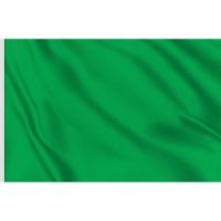 Bandiera verde - foto 1