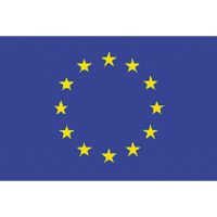 Bandiera europa - foto 1